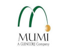 chef-de-departement-efficacite-organisationnelle-mumi-sarl-081222112932