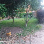 9f4da2cc-0ad7-49f6-a541-cbe7936fd1fb.jpg